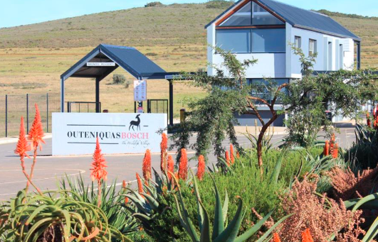 0 Bedroom Property for Sale in Outeniquasbosch Western Cape